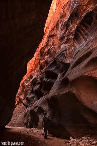 Fluted and Scultped..., Buckskin Gulch image
