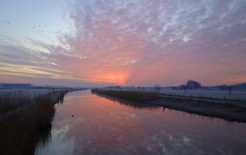 sunrise dawn winter february water waterscape landscape clouds pink colours early birds polder netherlands