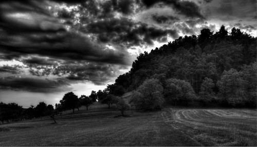 sunset summer field clouds forest sonnenuntergang sommer feld meadow wiese wolken wald appletree apfelbaum