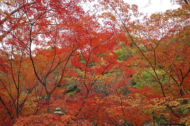 和歌山城西の丸庭園(紅葉渓庭園)