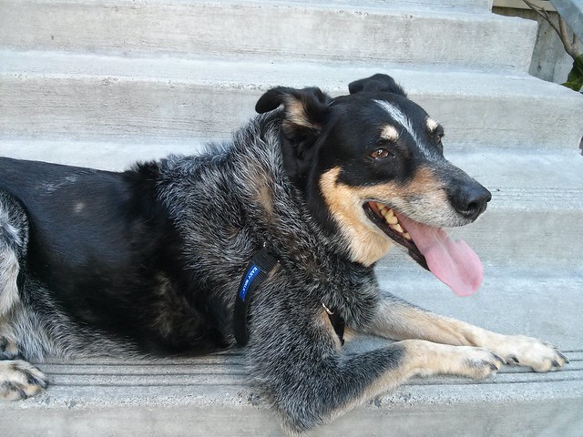 Resting on the Steps