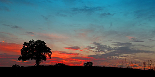 sunset sky sun tree silhouette clouds glow
