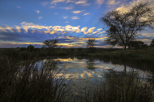 sunrise southafrica cloudy wetlands mpumalanga wetlandssunrise kuduranch kuduprivatenaturereserve kudugameranch wetlandshut 6dsouthafrica
