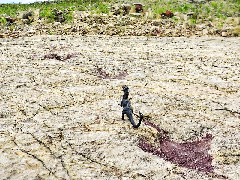 Dinosaur footprints at Torotoro park, Bolivia
