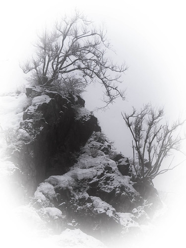 winter mountain snow tree art monochrome japan fog landscape lumix rocks g style onsen nagano sumie vario imitative 45150 jigokudan lumixgvario45150f4056 45150f4056