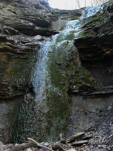 waterfall moss limestone tufa flowstone tufas calciumcarbonate cedarcreekpark carbonatetufa mosstufa