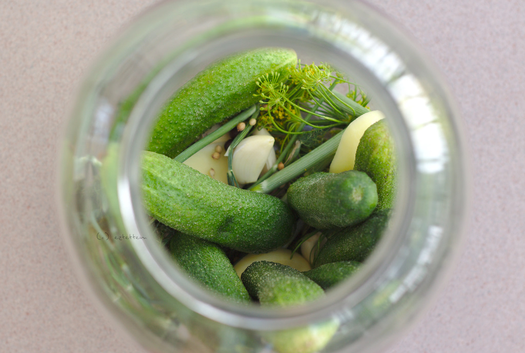 ready for pickling