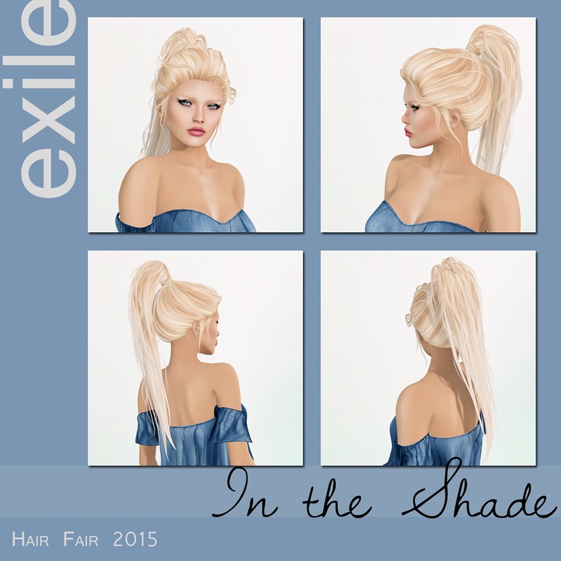 Exile in Hair Fair 2015