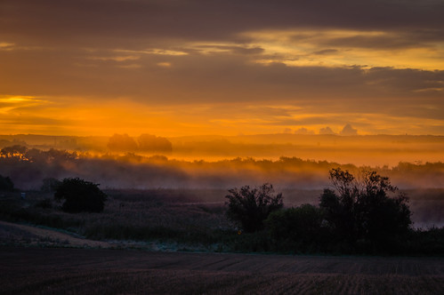 trees sky orange mist silhouette fog clouds sunrise dark golden sweden mystic staffanstorp skånecounty