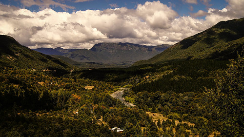 chile valle nubes bosques surdechile altobiobio octavaregion