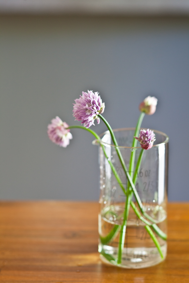 Chives Flowers