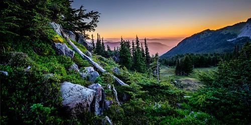 alpinemeadow trees sunset spraypark trinterphotos richtrinter fineart eveningcolor
