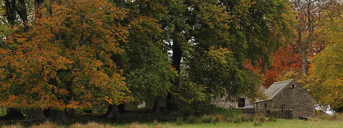 autumn orange green landscape scotland pretty colours view seasonal farmland autumncolours autumnal outbuilding colouful renfrewshire autumnalcolours