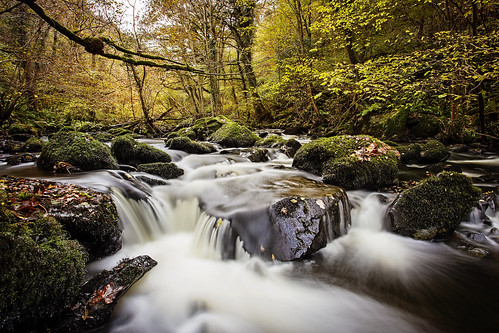longexposure november autumn trees colour water leaves forest river rocks fast filter nd
