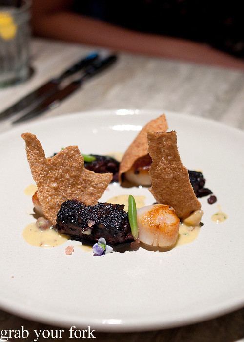 Black pudding and Hervey Bay scallops at Swine and Co, Sydney