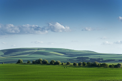blue green landscape countryside spring wiltshire marlborough avebury minolta100200f45 overtondown