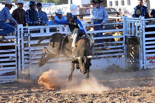 summer june colorado unitedstates kick roadtrip bull riding tuesday co rodeo dust fruita rimrock 2013