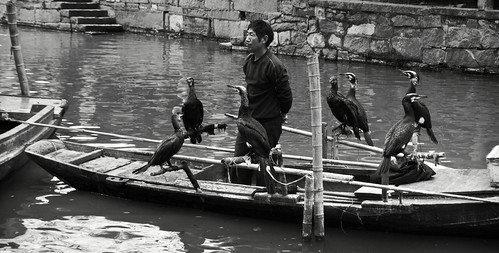 china street urban blackandwhite bw water monochrome birds asian boat town canal asia village shanghai candid chinese streetshots streetphotography canals eastasia tongli eastasian chinesearchitecture candidportraiture