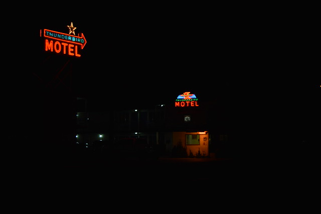thunderbird motel neon