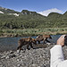 1st Place - People in Nature - Frank Zurey - Photographing Bears