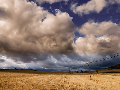 storm clouds landscape harvest paisaje olympus nubes tormenta cosecha zuiko e5 castilla uro guadalajararibadesantiuste
