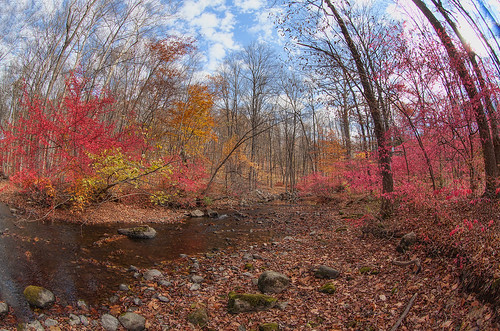 autumn fall nature forest canon river landscape scenic fisheye beaverdamriver