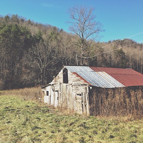 wood old family roof vacation building abandoned overgrown grass metal barn vintage square landscape wooden nc weeds farm north style northcarolina farmland squareformat land carolina sheetmetal woodenbarn iphoneography instagramapp igersnc vscocam mosesfamilyvacation2013