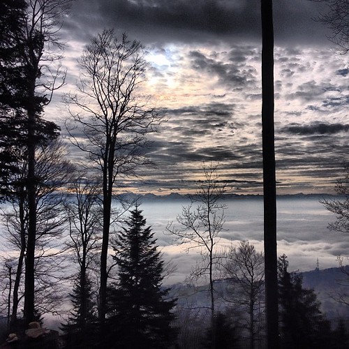 road winter fog clouds forest ride instagram ifttt 11012014