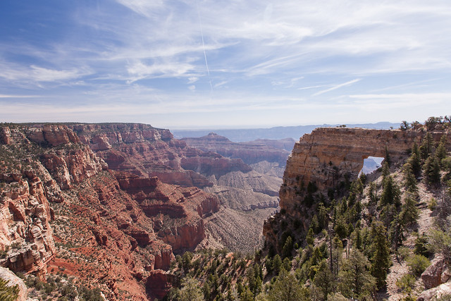 Grand Canyon -Kaibab Plateau