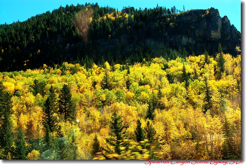 Spearfish Canyon Scenic Byway 12