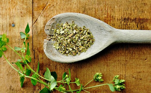 Oregano Sprig with Dried on a Wood Table
