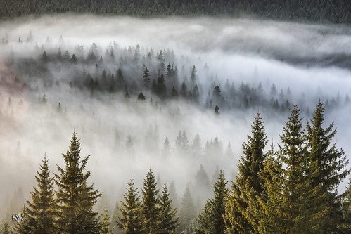 fog nationalpark montenegro durmitor