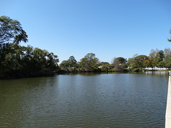 Cammanns Pond (14)