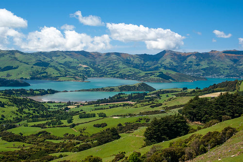 trees sea newzealand sky water scene hills bankspeninsula broom porthills