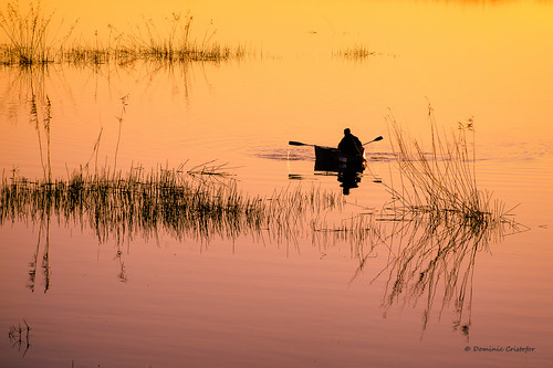 sunset lake landscape nikon noflash romania nikkor waterscape 180mmf28d d700 ilfov cornetu