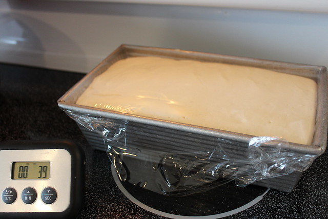 Cover with Plastic Wrap & let rise for 20-30 min... Do not let it overproof or rise to the top.