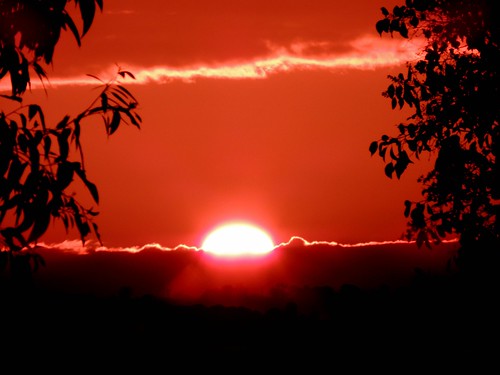 silhouette sunsetatvictoria