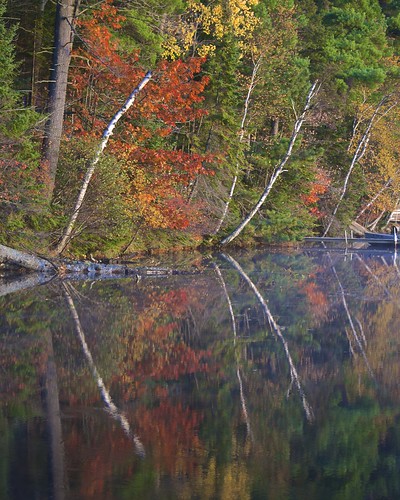autumn lake fall nature wisconsin chain fourth rhinelander moens