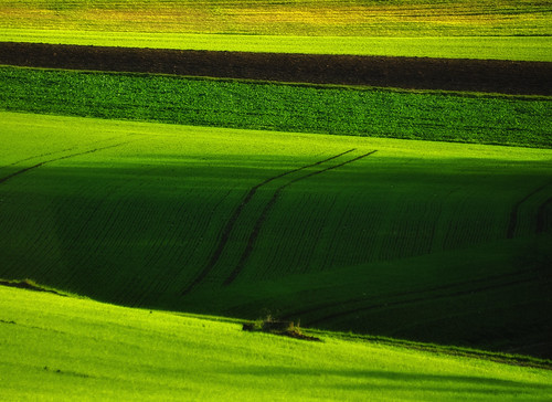green nature landscape photography schweiz switzerland nikon flickr svetlana d90 ceca67
