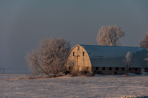 winter columbus snow tree wisconsin sunrise unitedstates hoarfrost scenic ©jrj
