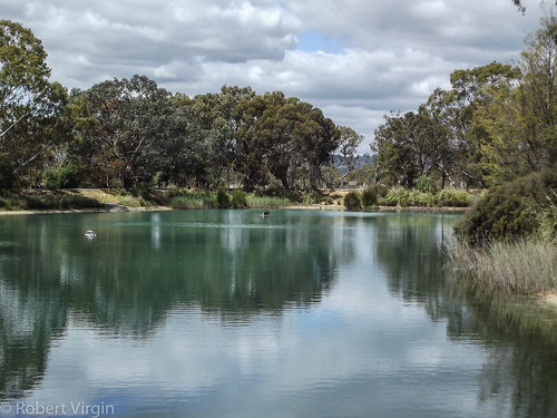 flickr australia southaustralia barossavalley nuriootpa