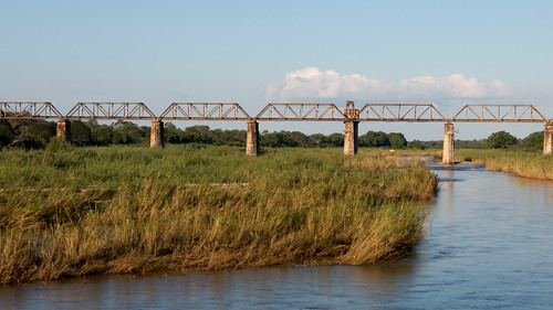 africa railroad bridge river southafrica krugerpark sanparks