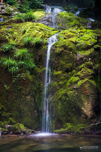 nature landscape waterfall moss korea valley 대한민국 강원도 계곡 gangwon samcheok 이끼 이끼계곡 삼척시 무근리 mugeun mugeunli