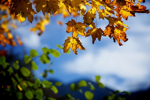 autumn sun mountains nature switzerland day patrick semmler eos5dmarkiii
