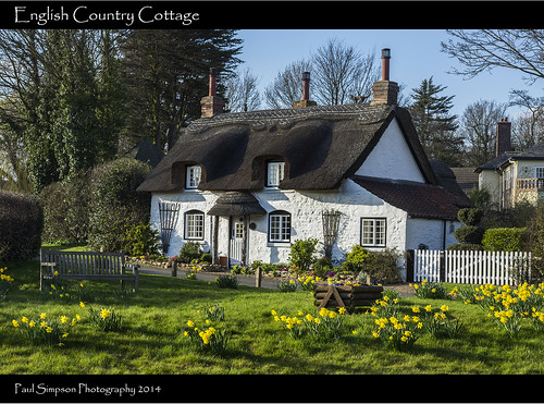 flowers white spring whitehouse cottage scenic lincolnshire daffodils appleby picketfence thatchedcottage photosof northlincs imagesof southhumberside sonya77 paulsimpsonphotography march2014