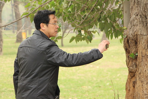 護樹志願者崔老師坦率風趣，但在拍攝紀錄古樹時，卻也專注情感，彷佛與樹對話。（圖：林吉洋）