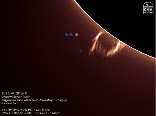 H-alpha prominences - 2014.04.07. - Bognár Tamás