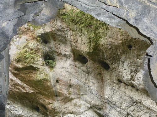Taiwan-Taroko-Swallow Grotto Trail (18)