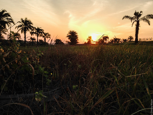 sunset nature landscape view malaysia sepang selangor iphone