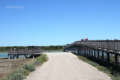 Puente Río San Pedro, Marisma de los Toruños y Pinar de la Algaida